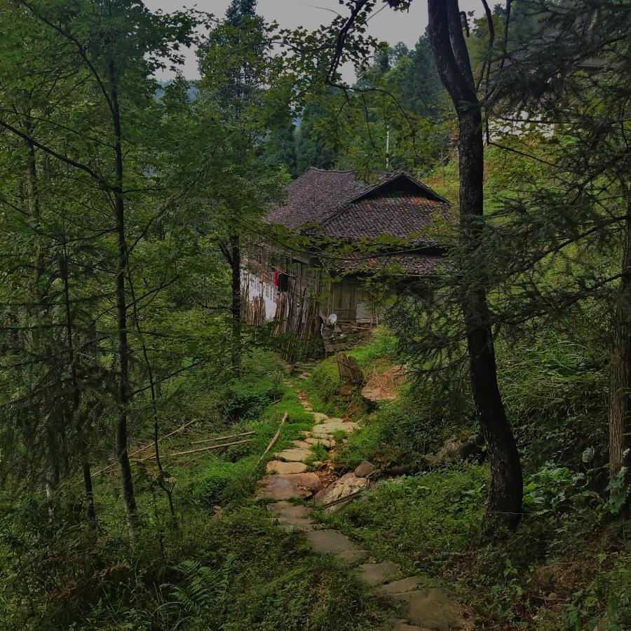 Longji Rice Terraces Green View Guesthouse หลงเซิง ภายนอก รูปภาพ
